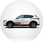 Decal dán xe ô tô