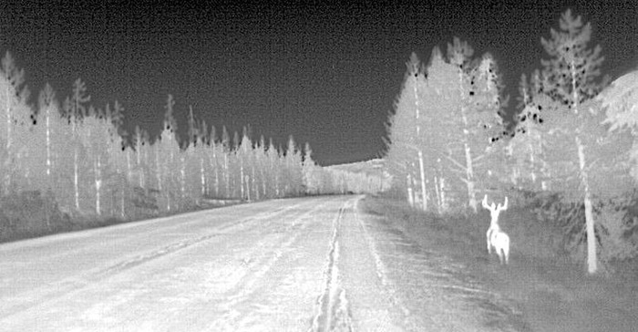 How Night Vision Works in In Car Dash Cams